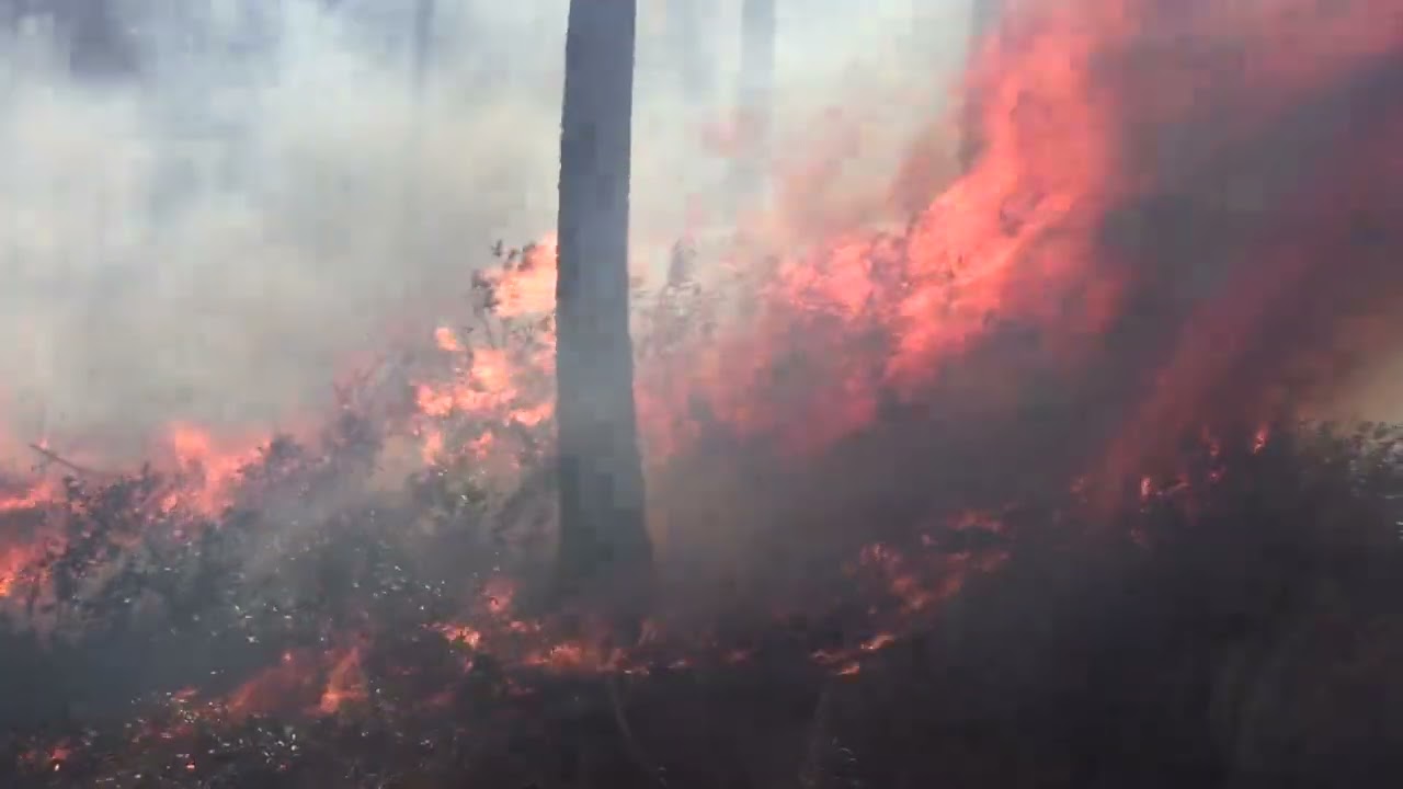 SCFC Fire Response