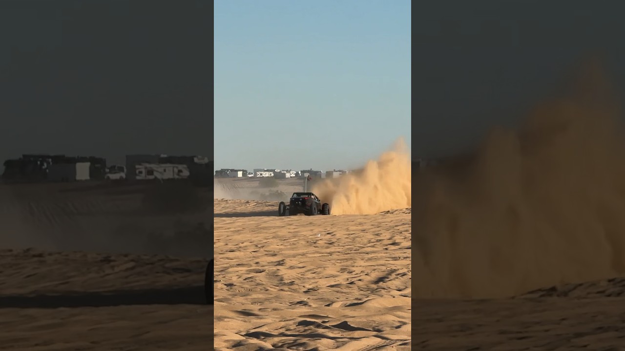 Super Sand Roost in Glamis