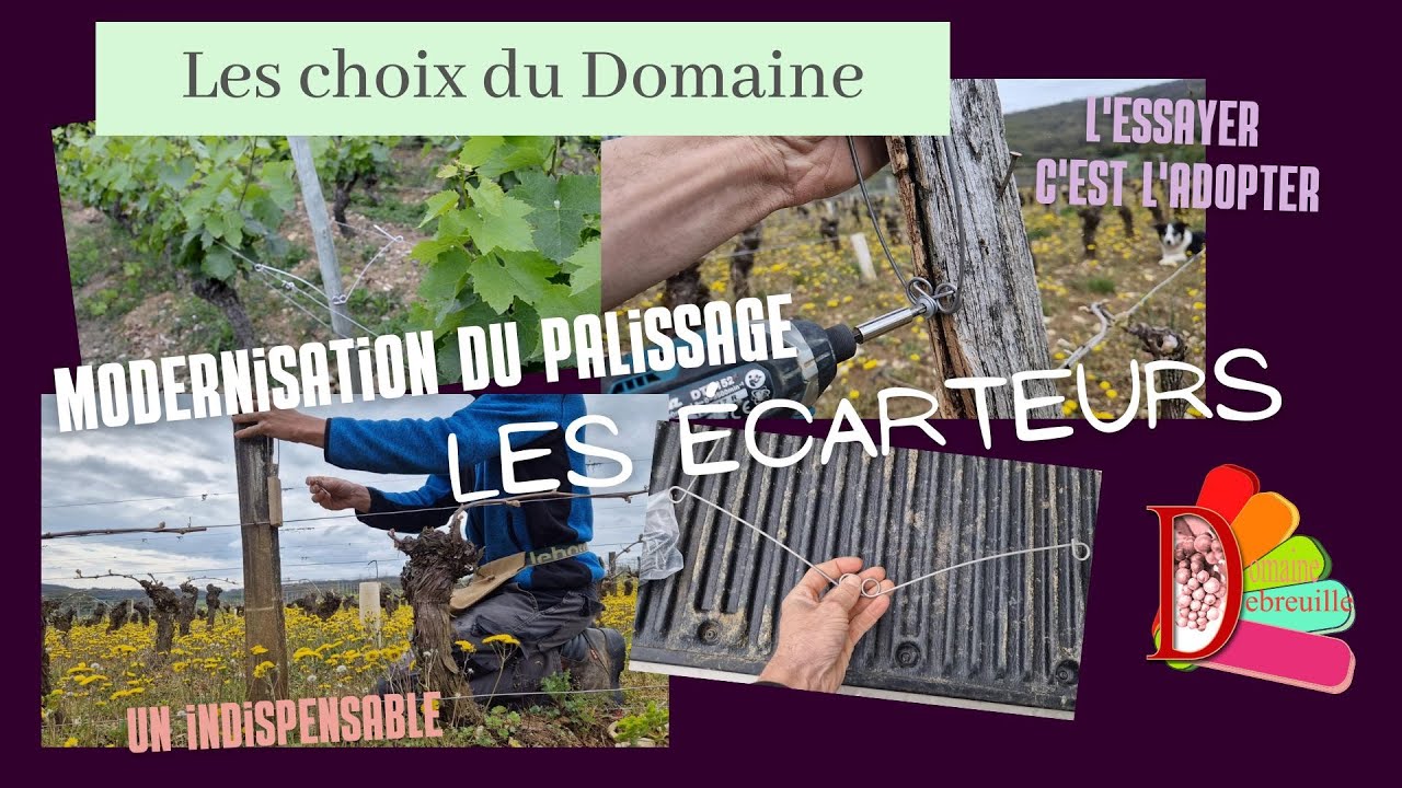 Modernisation du palissage / gain de temps pour le relevage / mise en place d'écarteurs sur piquets