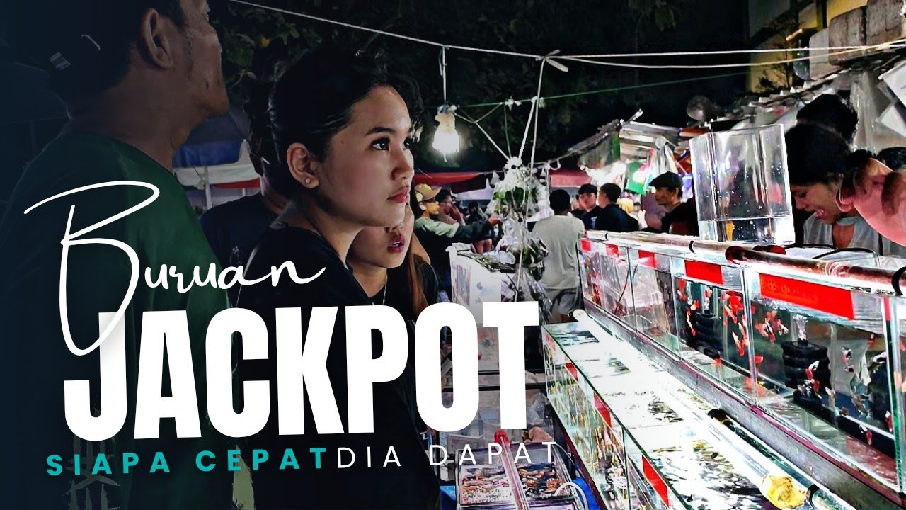 ADA JACKPOTAN DI LAPAK INI !!! BURUAN DATENG LEBIH CEPAT || GUPPY MOLLY PASAR IKAN HIAS JATINEGARA