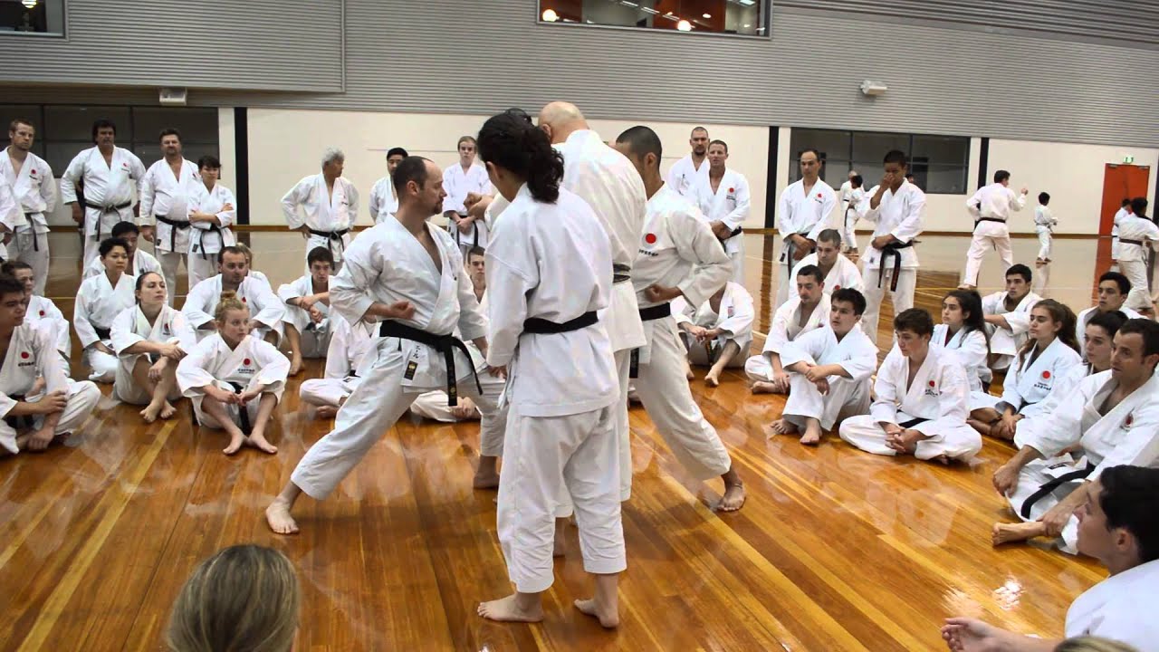 7 March 2014 All JKA National Seminar - JKA HQ Instructor Mori Toshihiro Shihan