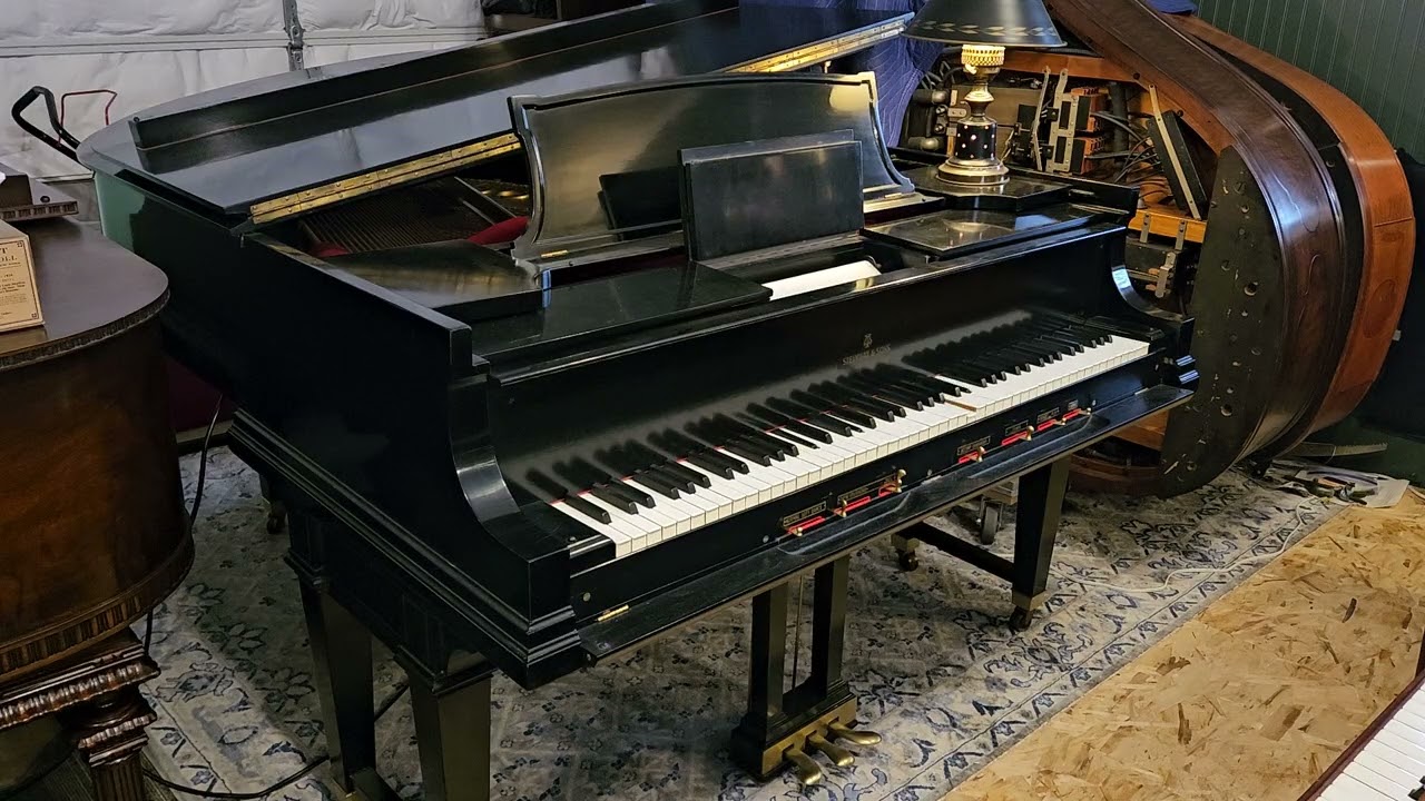 1925 Steinway XR Duo Art - Five O'Clock Girl Medley - Freddie Rich