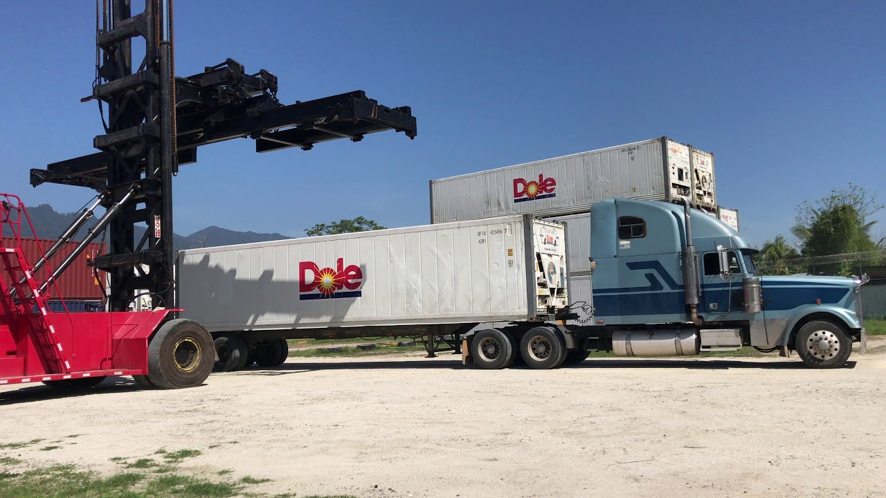 Dole Taylor toploader 955