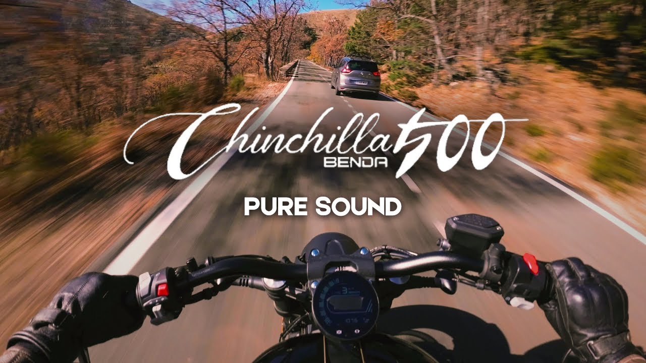 [4K POV] Benda Chinchilla 500 - PURE SOUND (STOCK)