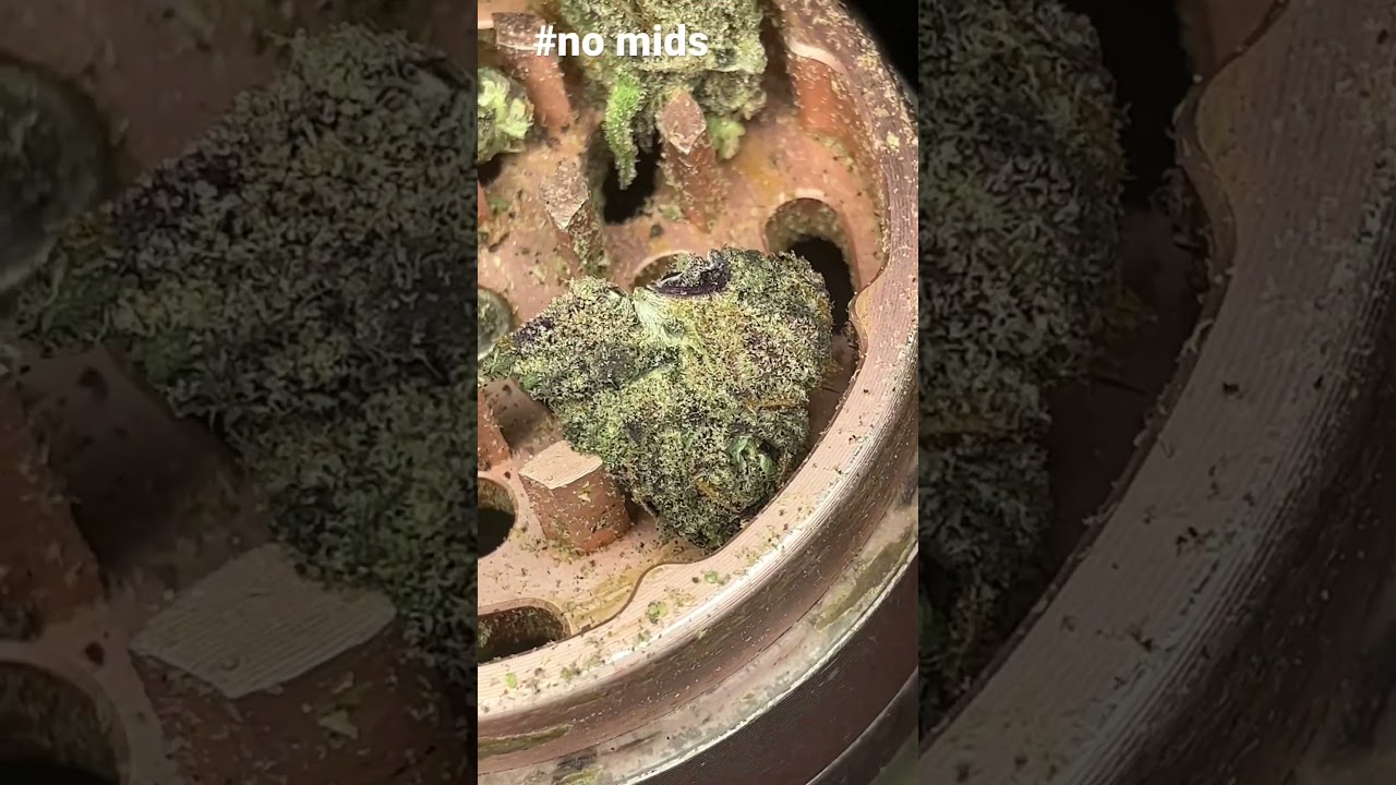 Showing off the space runtz👨🏽&zwj;🚀 #nomids #420 #topshelf