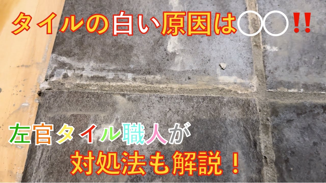 【タイル・DIY・初心者】タイルの白い原因は◯◯！！左官タイル職人が対処法も解説！