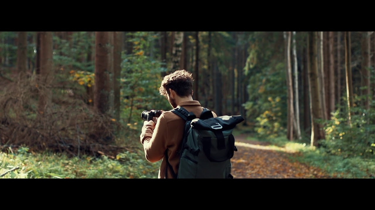 Cinematic walk in the woods.