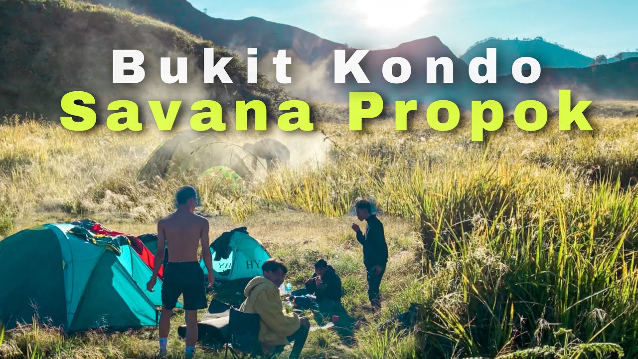 Pendakian bukit kondo savana propok dan pesona bukit savana propok di lereng gunung rinjani