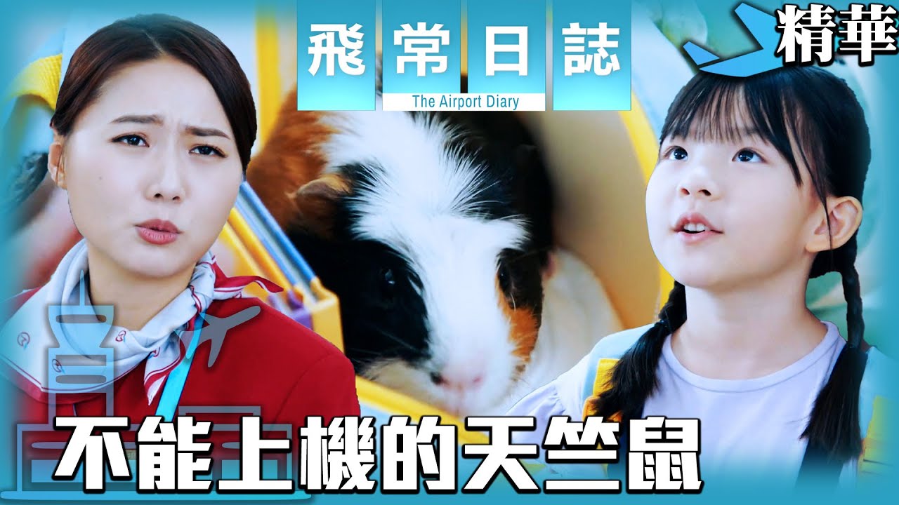 飛常日誌｜不能上機的天竺鼠 (英／繁／簡字幕)｜馬國明｜蔡思貝｜高海寧｜洪永城｜戴祖儀｜郭柏妍｜徐榮｜第4集劇集精華｜TVB港劇精華｜#劇集 #港劇 #電視劇