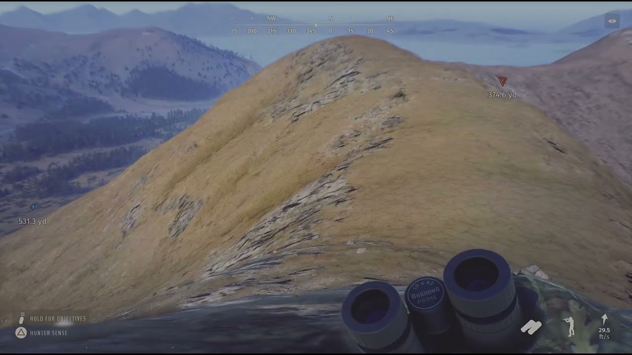 Way of the Hunter 5 Star Wood Bison 😅🥂💕 Elkcrest