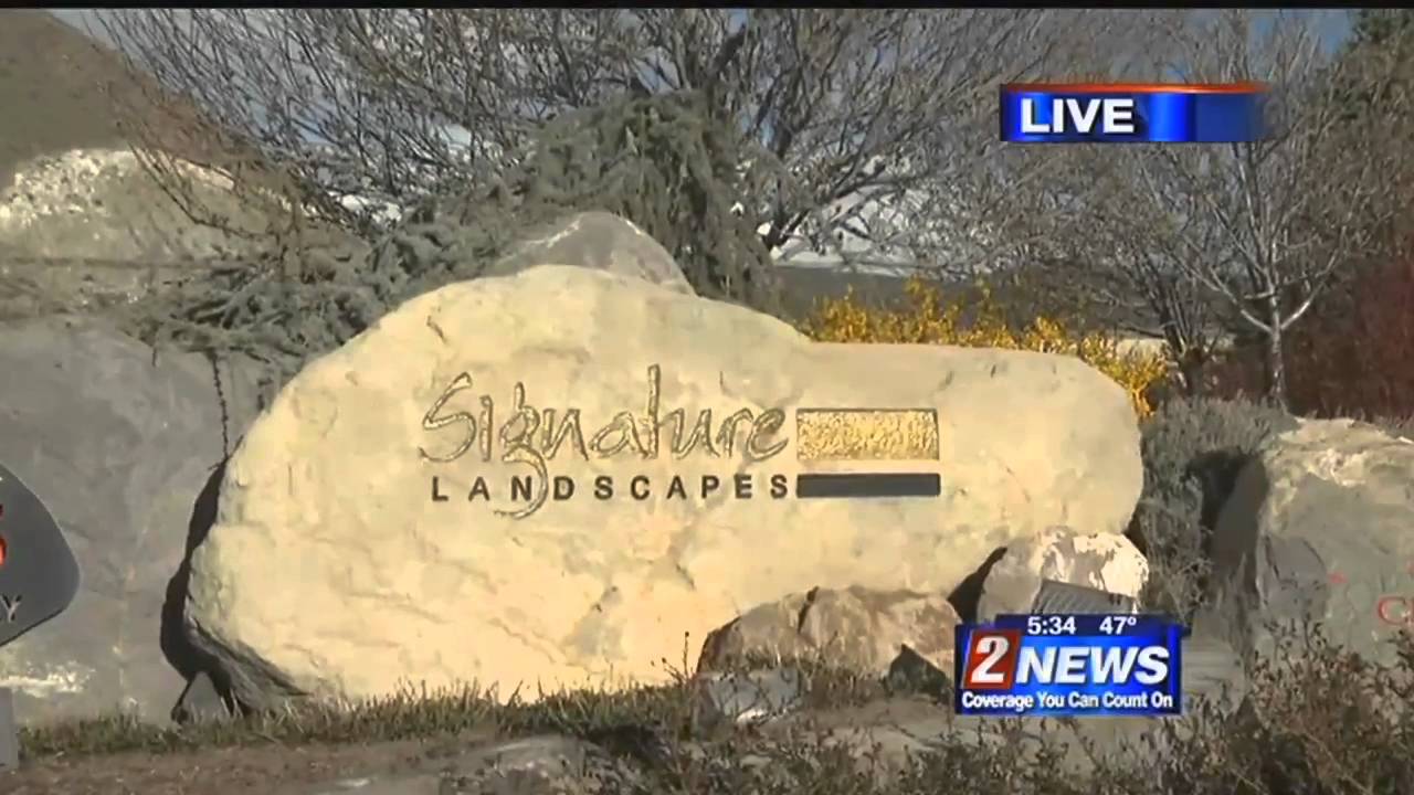 Tips to Avoid Tree Trimming Scam