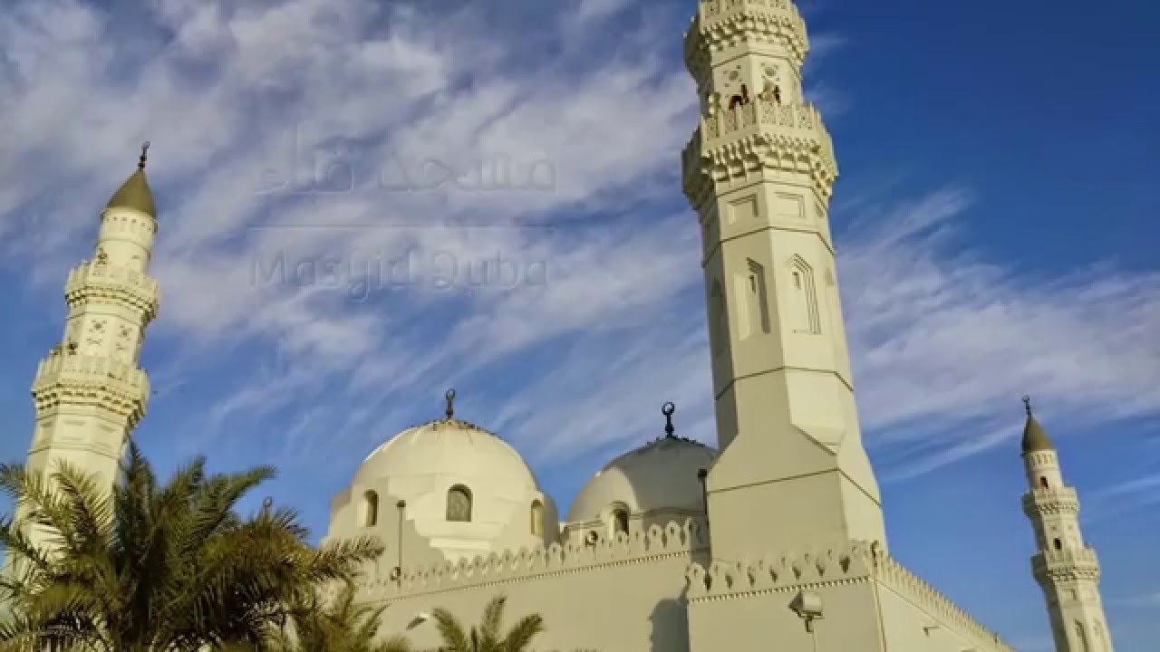 Las Mezquitas - Informe exclusivo de El Cálamo