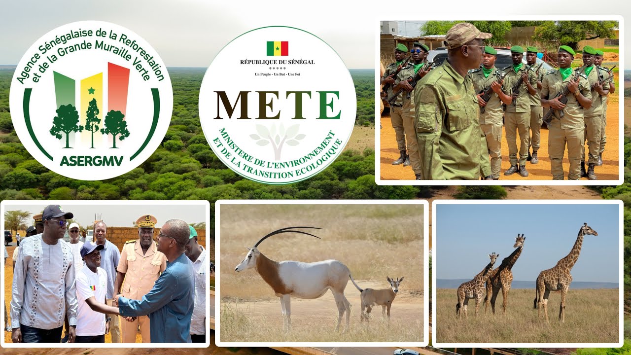 ASERGMV; Tournée du METE dans les zones Ouest (Diourbel) et Nord (Louga et Matam) du 25-28/08/ 2024