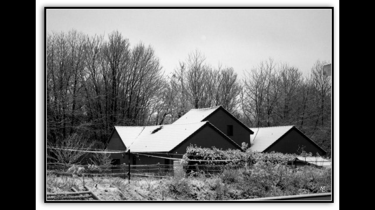 Neige en noir et  blanc