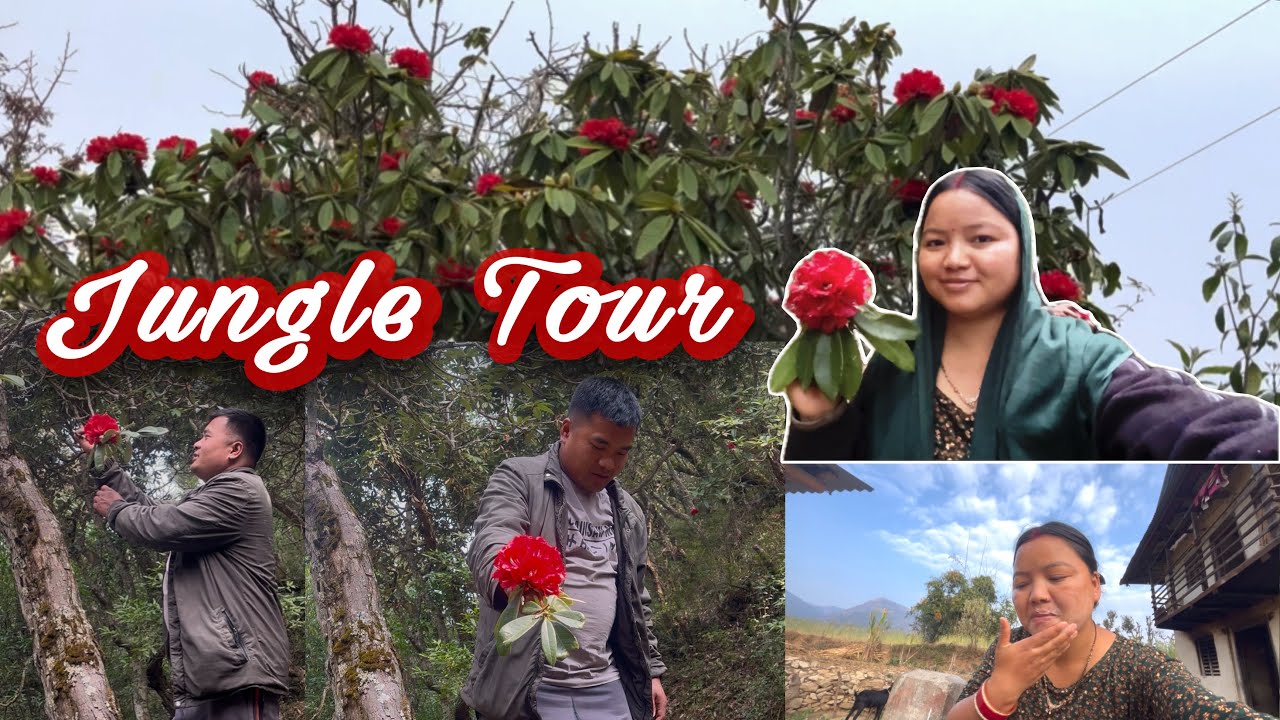  Aaj gaye Jungle me Burash Dekhne❤️|| Jungle Vlog || Manisha Gharti 