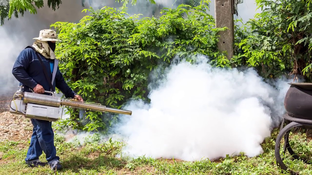 Pest Control Services in Houston TX, details at YellowPages.com