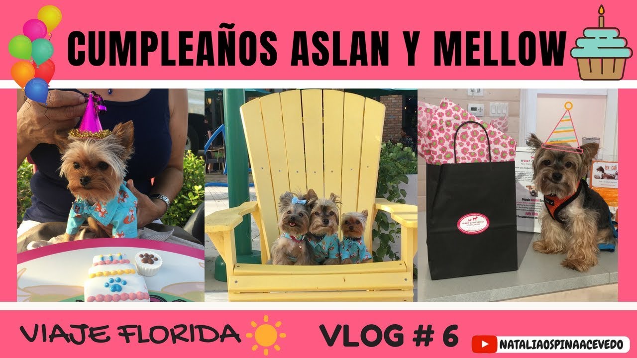 Cumpleaños Aslan y Mellow - Viaje Florida- VLOG # 6