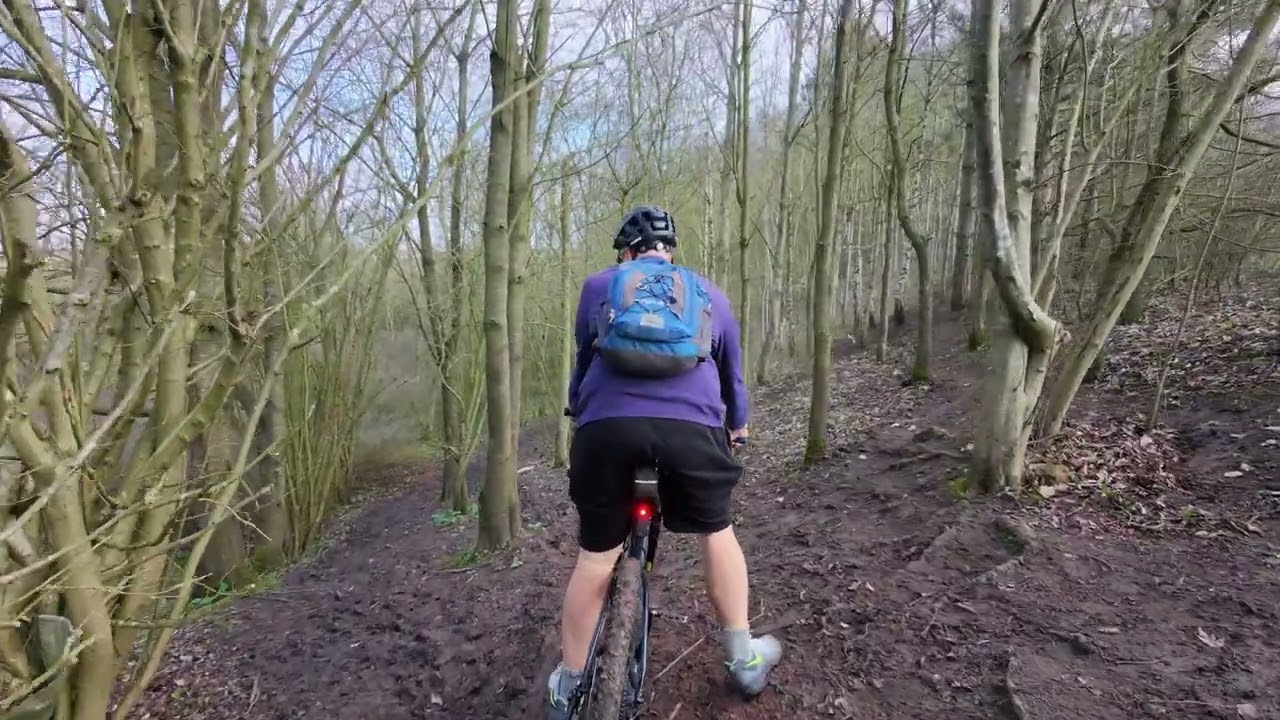 DJI Neo 2 Obstacle Avoidance test in Croft Hill Woods