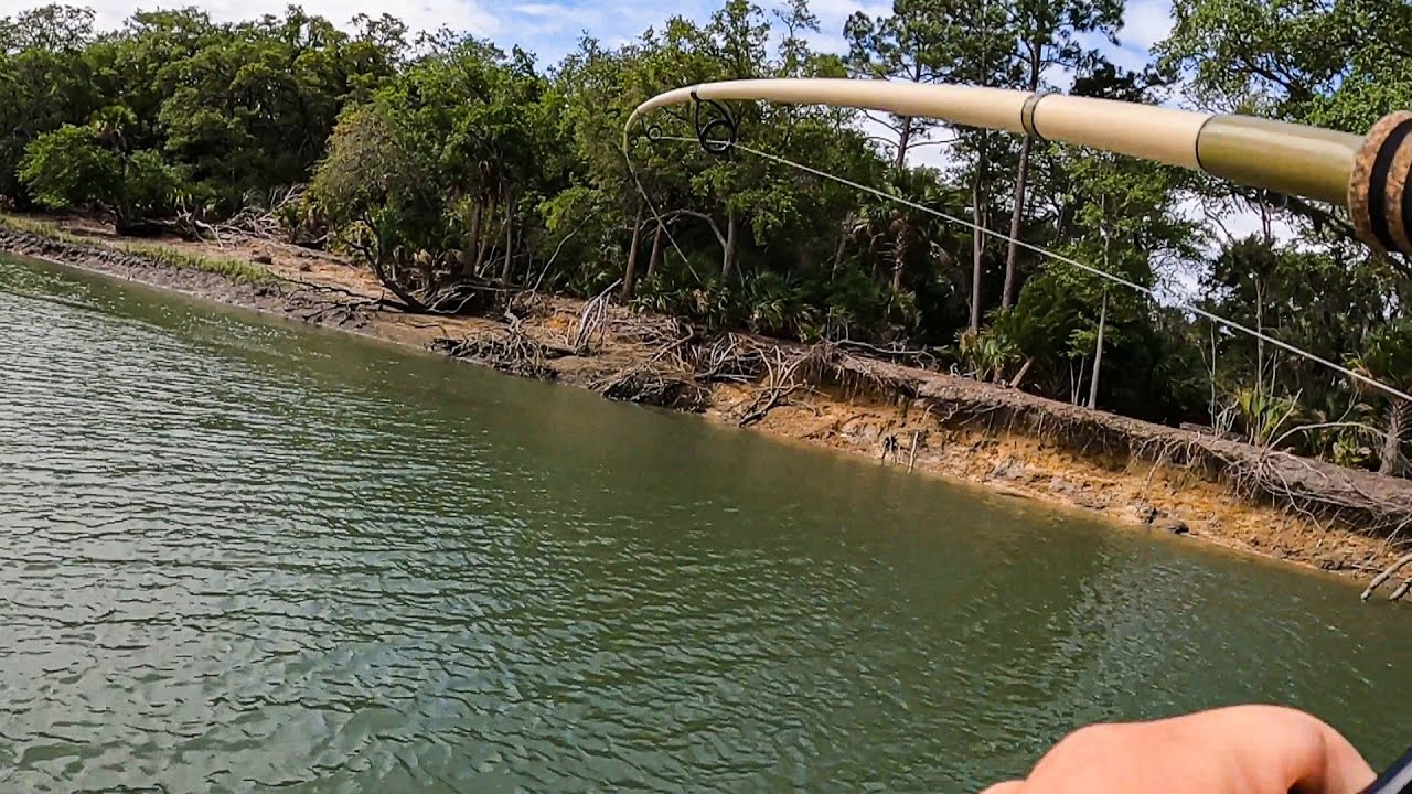 Fishing For Aggressive Salt Water Fish || Hilton Head Island