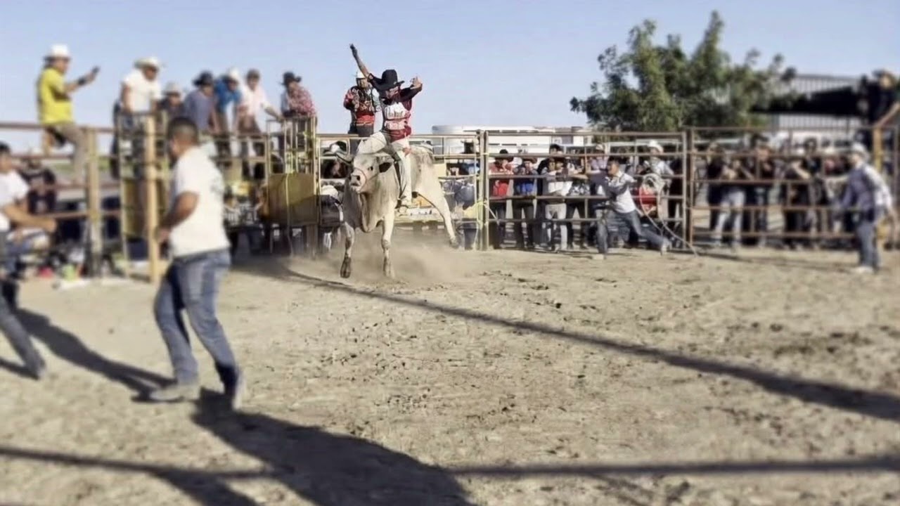 Travieso De Rancho Viejo