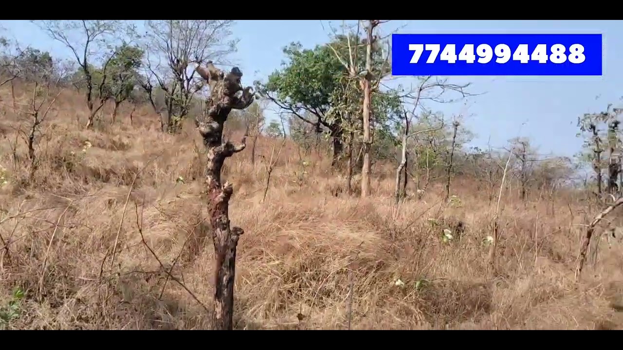 5.75 acre plot for sale at Dhamni sangameshwar
