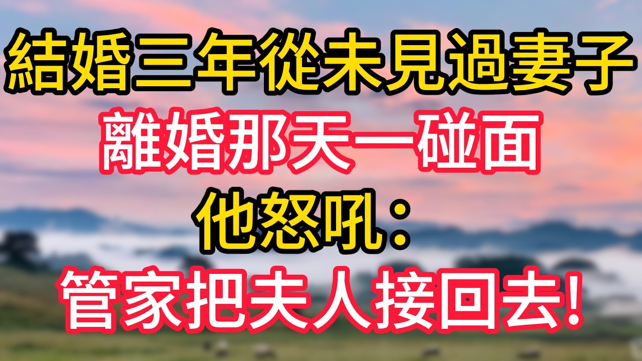 結婚三年從未見過妻子，離婚那天一碰面，他怒吼：管家把夫人接回去!#故事#言情小說#一口氣看完#爽文