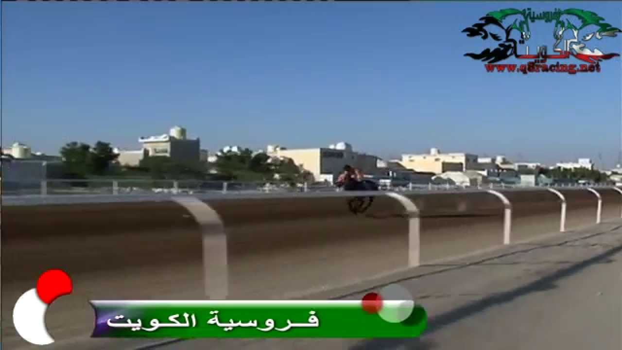 الفرس ابعاد : لاسطبل الخالدي والعبدلي