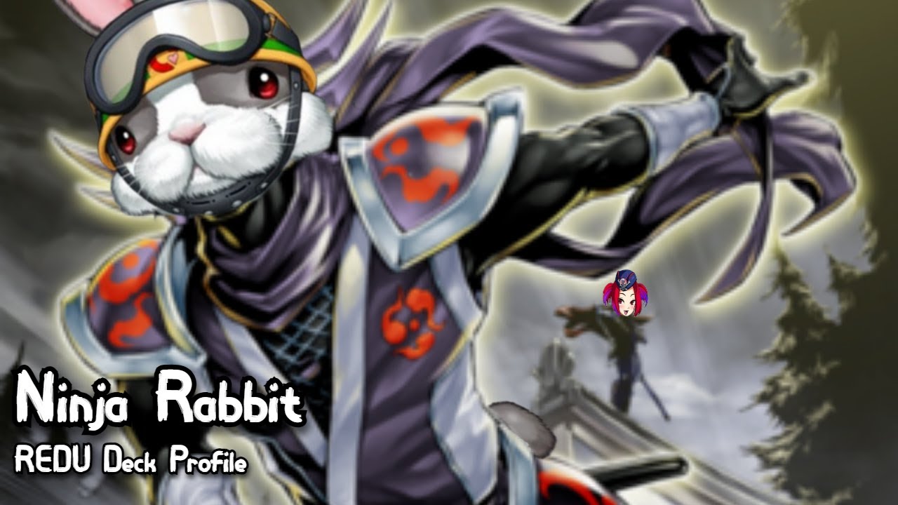 Профиль колоды формата REDU: Ninja Dino-Rabbit