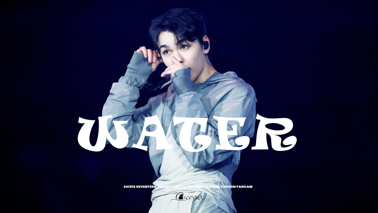 241012 SEVENTEEN RIGHT HERE IN GOYANG D-1 WHTER- VERNON FOCUS 직캠