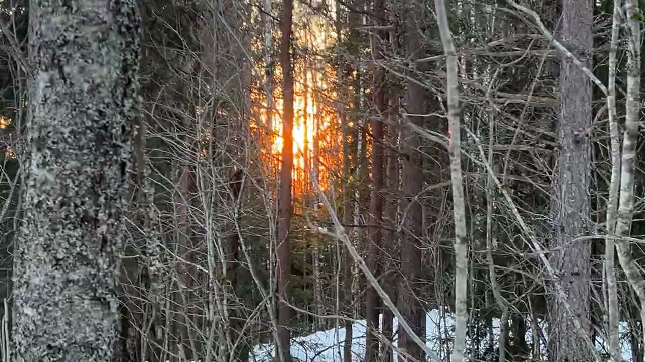 På en kosetur i nærmiljøet, 04.03.2026