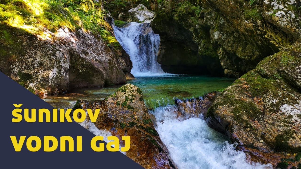 &Scaron;unikov vodni gaj