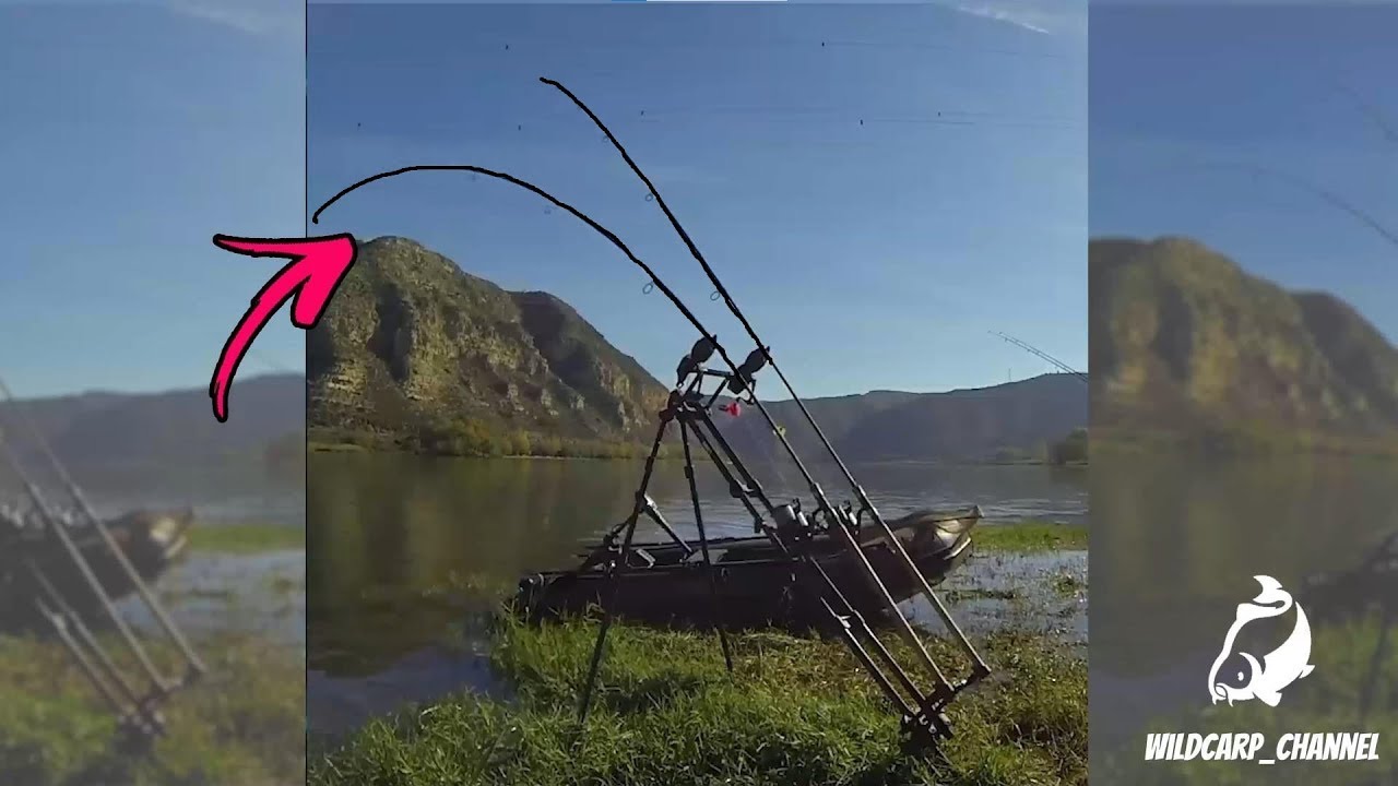 Carp Run COMPILATION 2022! PART 41! (Extreme Carp Run)