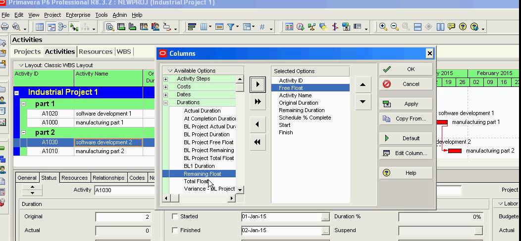 Primavera P6 how to know total and free float