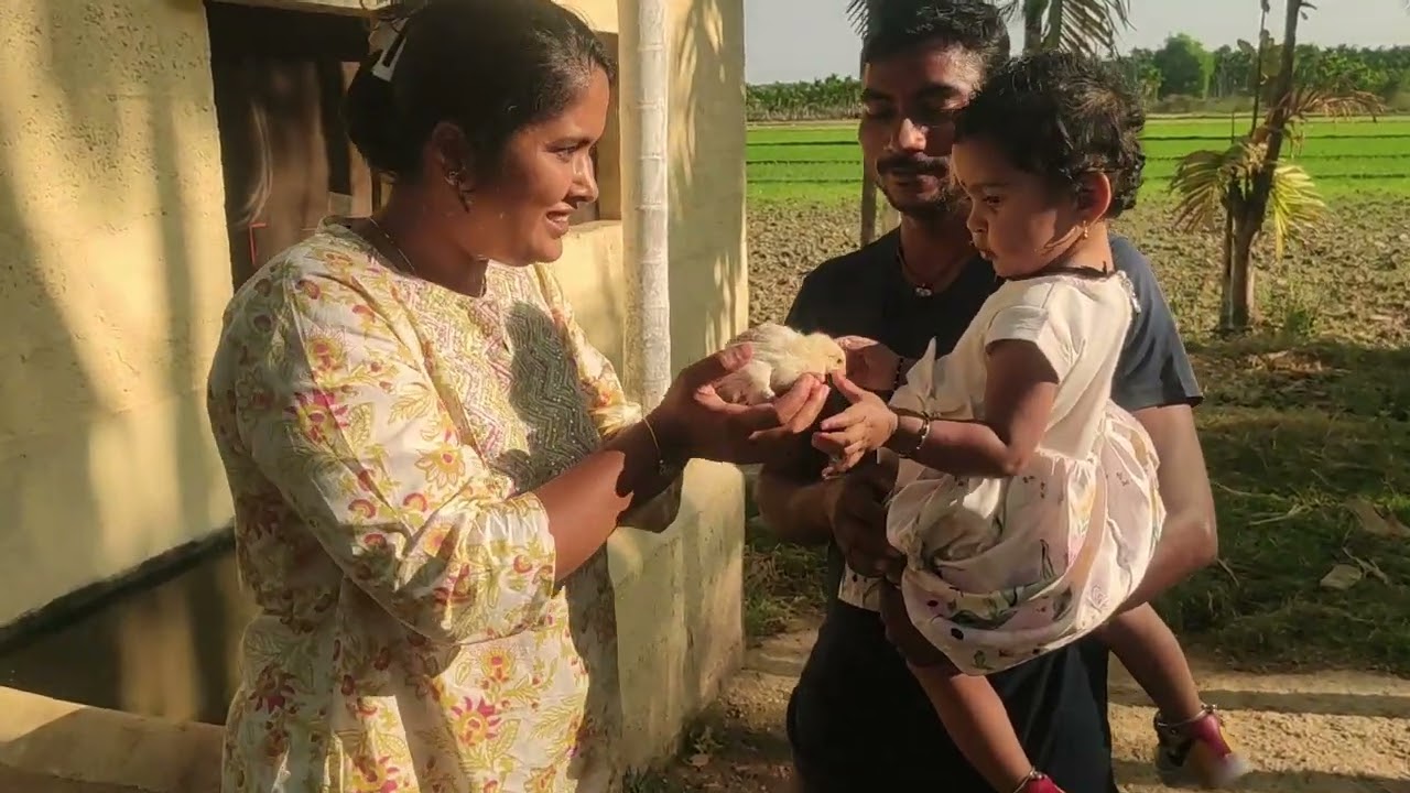ತೋಟ, ಹಸಿರು, ನೀರು, ಬೆವರು, ನಮ್ಮ ಬಂಧುಗಳು.... 