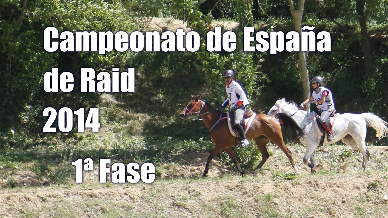 Campeonato de España de raid 2014 en Báscara: 1ª fase | Endurance Spanish Championship