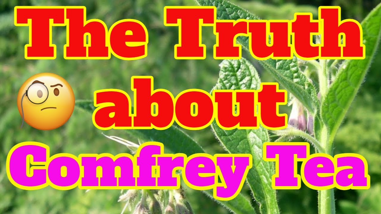 Surprising Results of Comfrey Tea #comfrey #permaculture