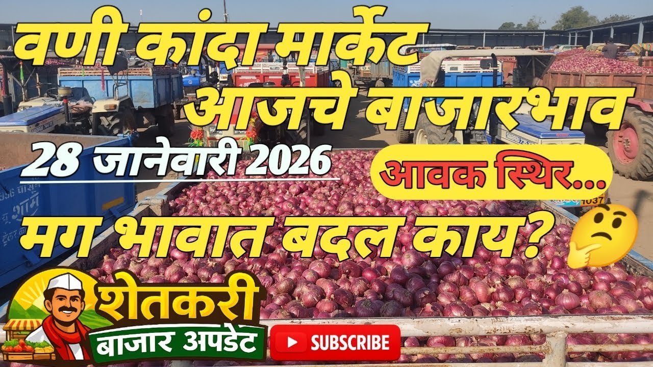वणी कांदा मार्केट|vani kanda aajche bhav|🧅🧅#farmersupdate#पिंपळगाव#kanda#शेतकरीबाजारअपडेट