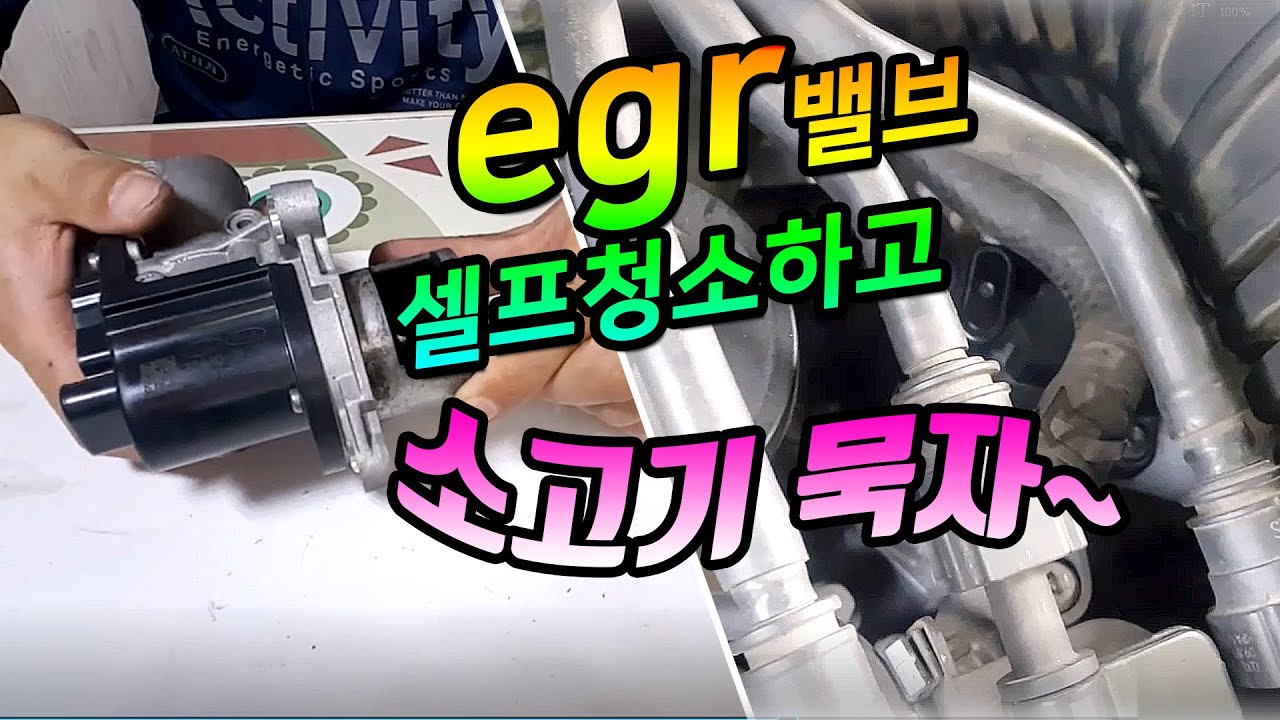 R엔진 EGR 밸브 탈거하는법, 청소하는법, EGR 밸브청소하는 이유