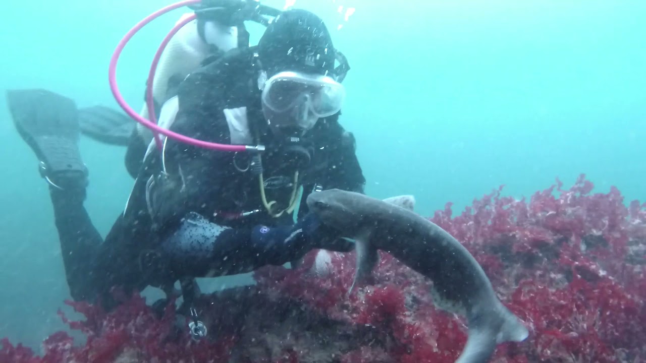 st johns point and glencolumbkille diving