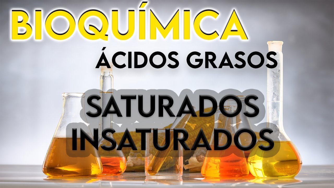 31- ACIDOS GRASOS SATURADOS E INSATURADOS ¿QUÉ SON? || BIOQUÍMICA