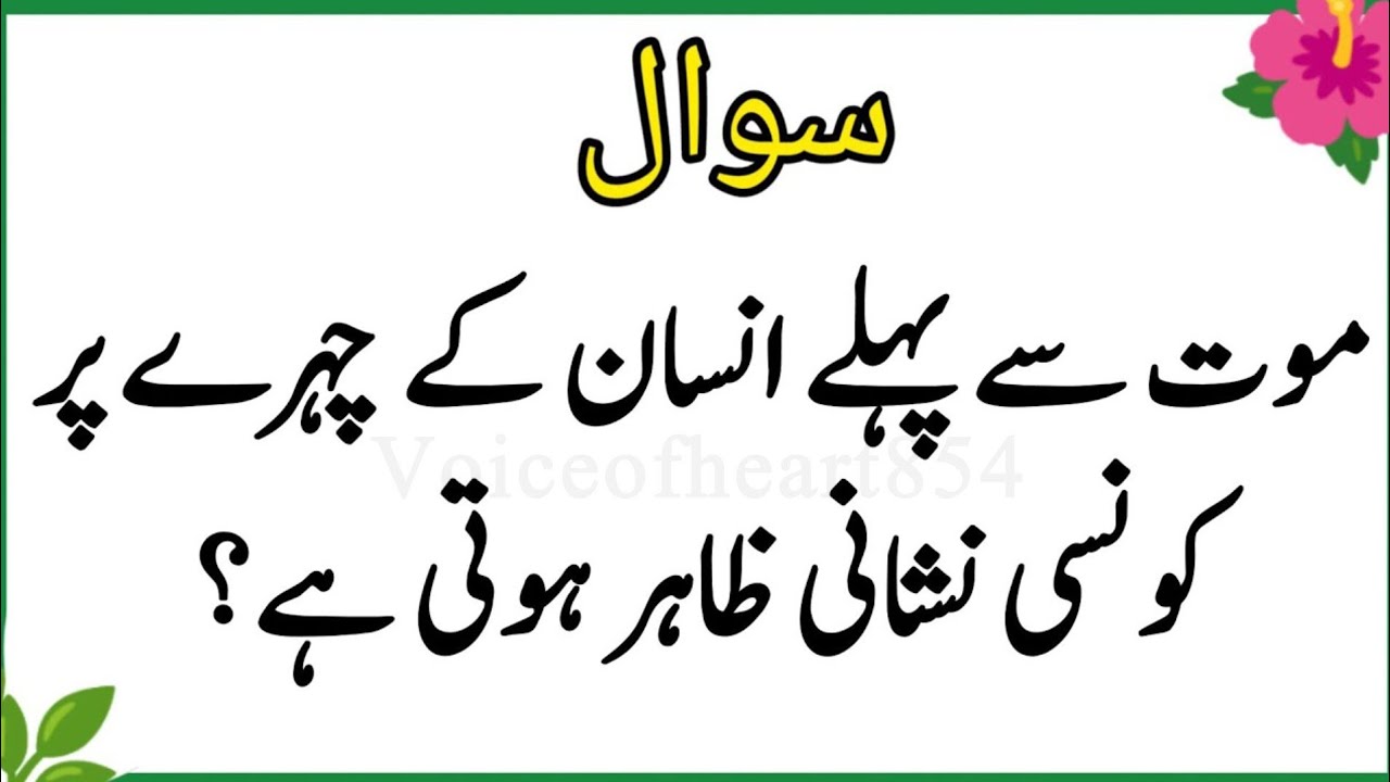 Islamic quiz | Islamic question answer | Islamic paheliyan | Islami quiz in urdu | quiz