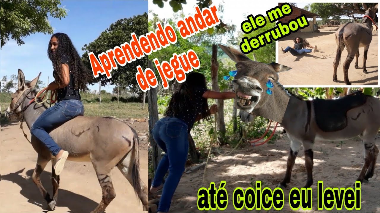 APRENDENDO ANDAR DE JEGUE, EXPERIÊNCIA DIFERENTE!