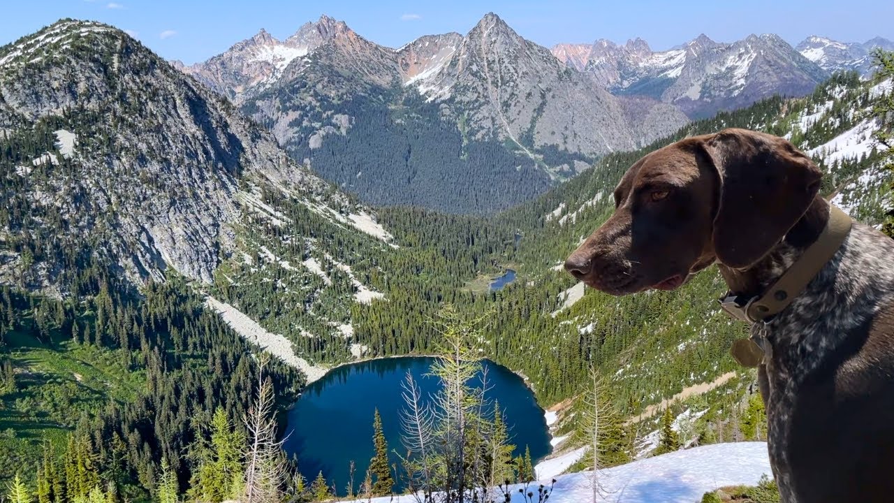 Tent Camping & Hiking With My Dog In The Pacific Northwest: North Cascade and Olympic National Park