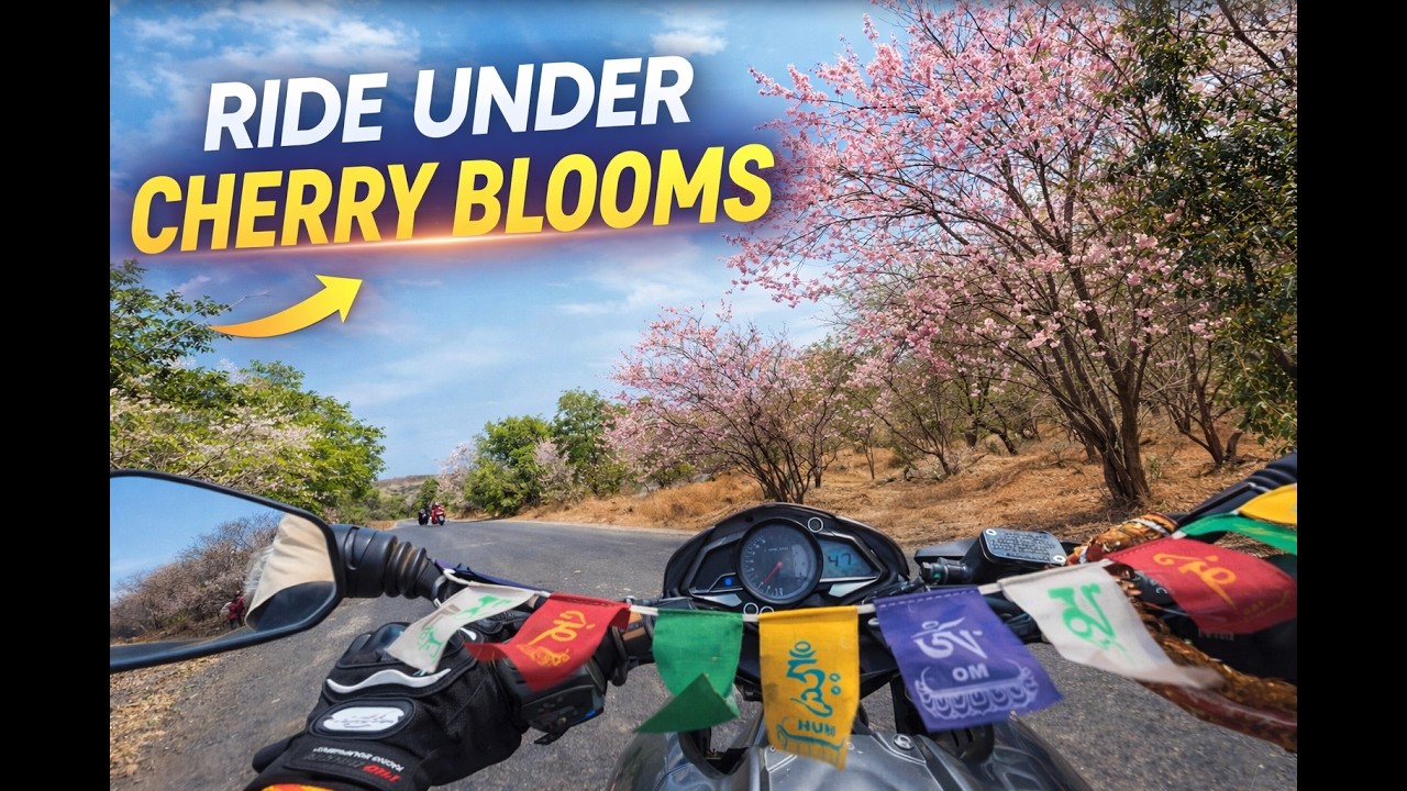 Cherry Blossom Summer Ride Vlog | Calm Sunday Morning Bike Ride | Nature & Road Trip Vibes