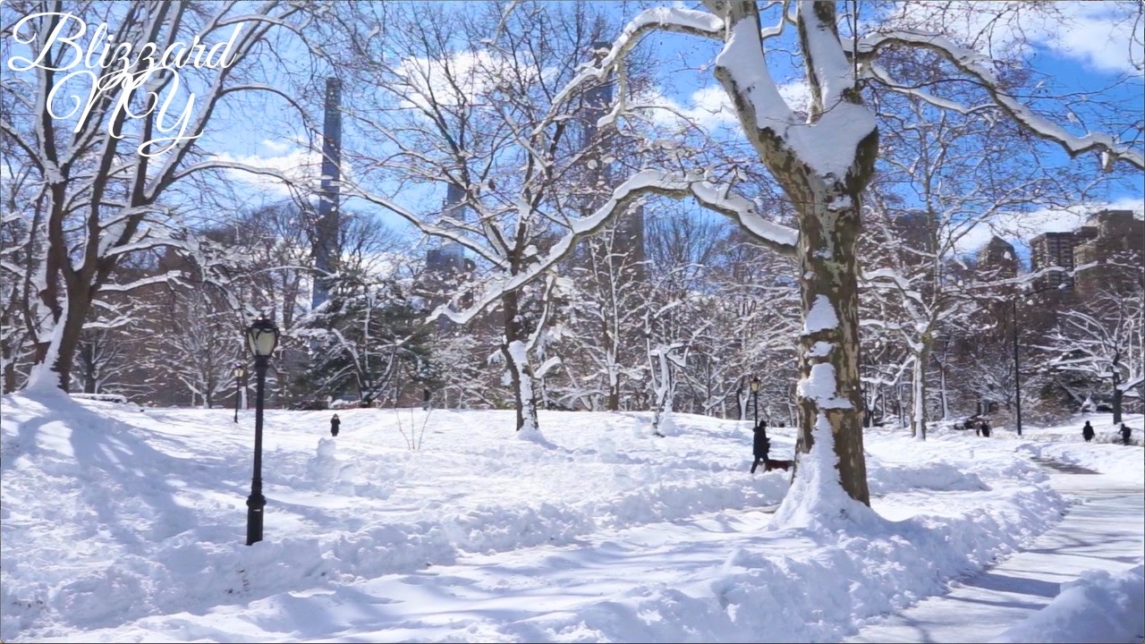 Blizzard 