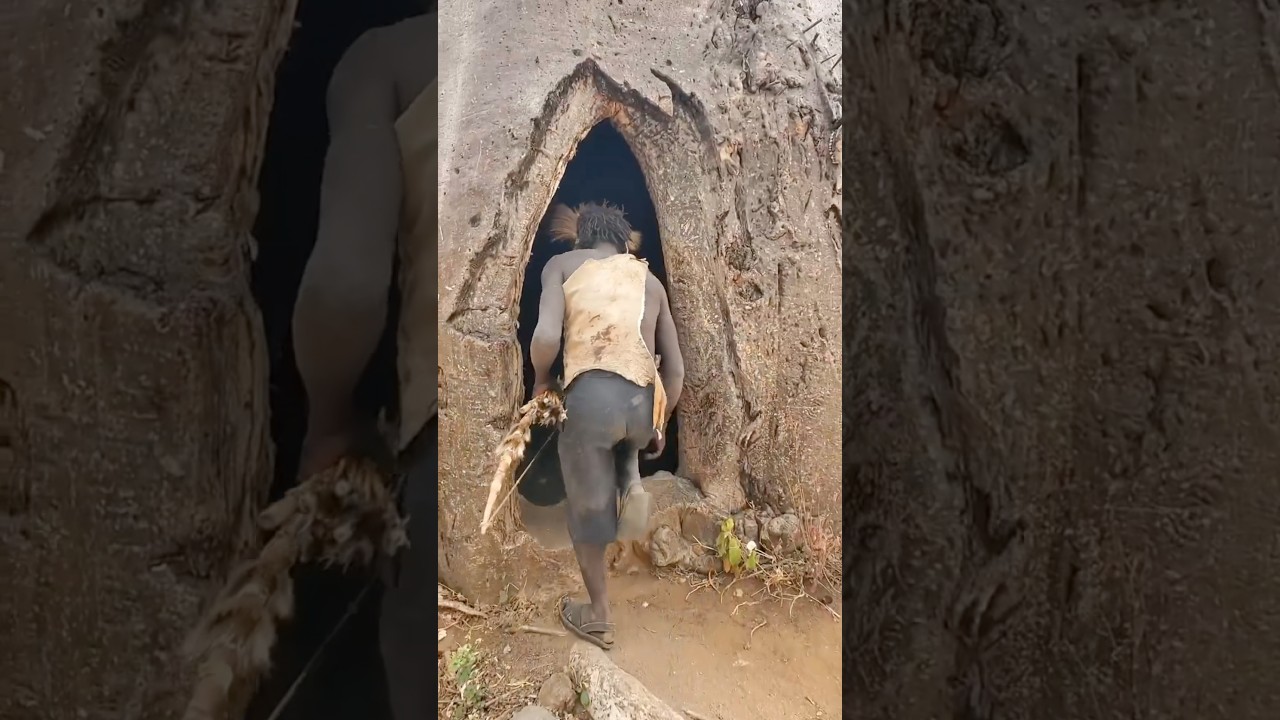 &ldquo;How do tribals meet their wifes?&rdquo; #shortsvideo #shortvideo #shorts