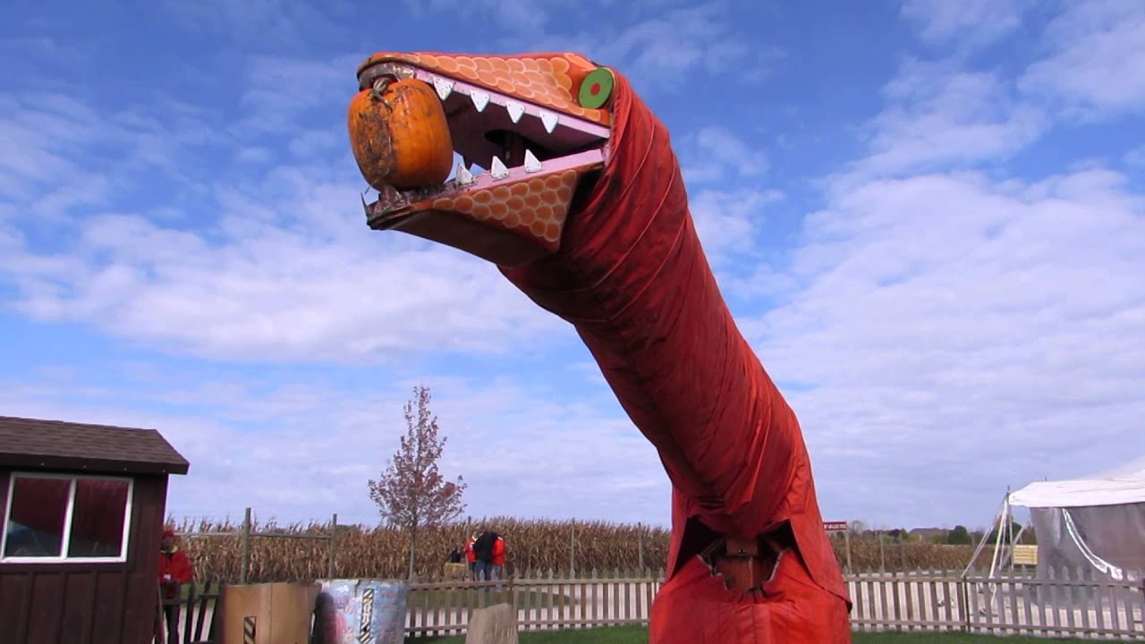 The dinosaur eating the pumpkin at Goebberts Pumpkin Farm