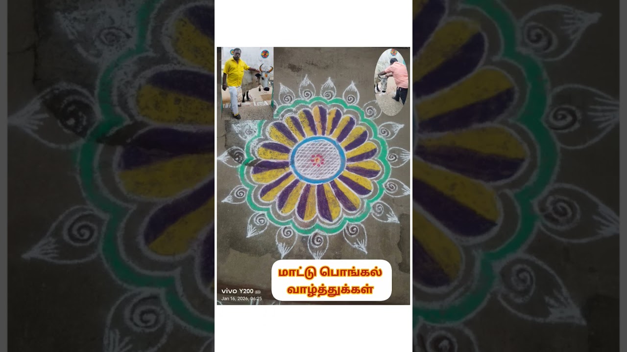 மாட்டுப் பொங்கல் நல்வாழ்த்துகள் 