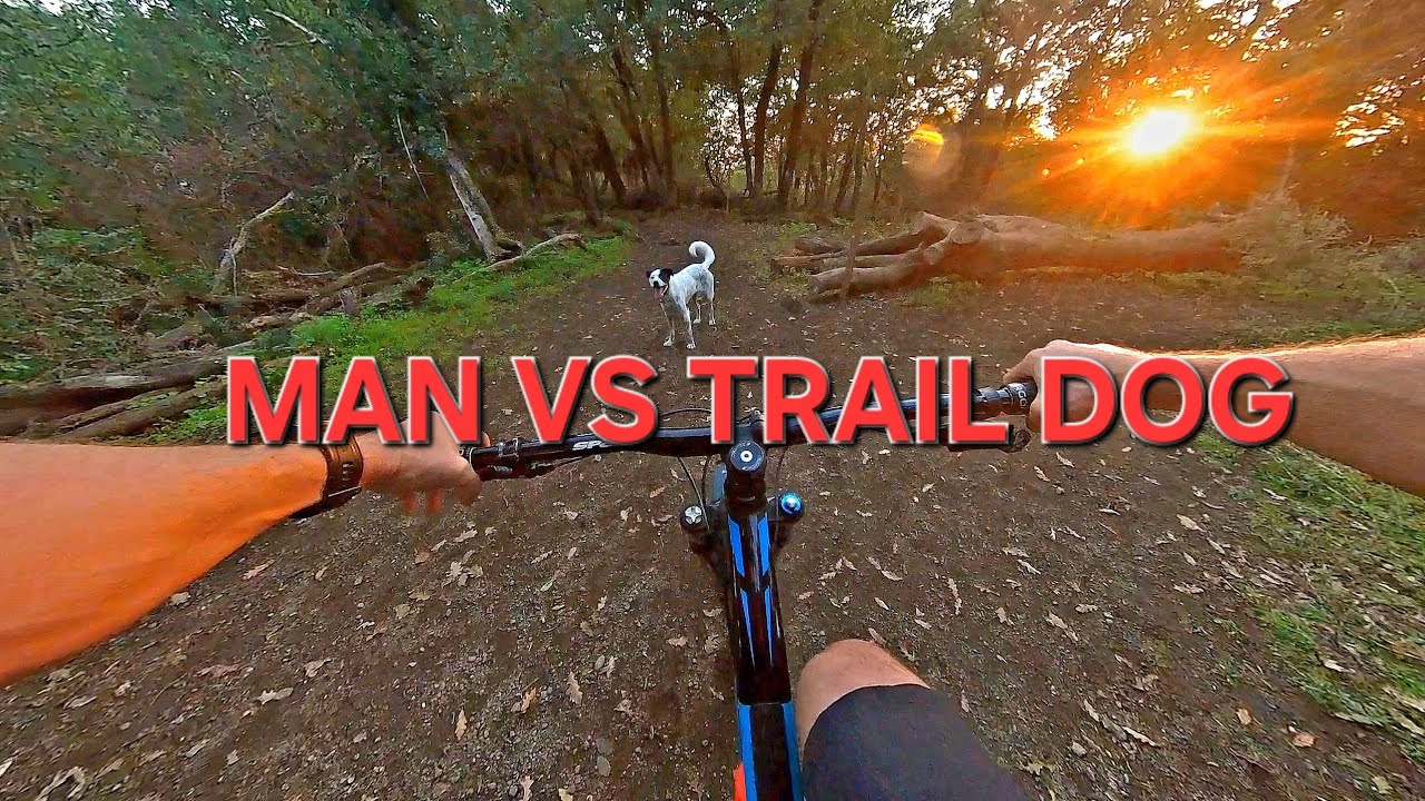 VLOG #4 VEIO TRAIL AREA CON KIBA E PAOLO