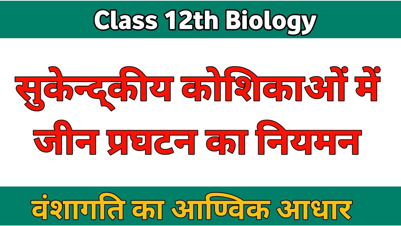 सुकेन्द्कीय कोशिकाओं में जीन प्रघटन का नियमन class 12th biology वंशागति का आण्विक आधार 